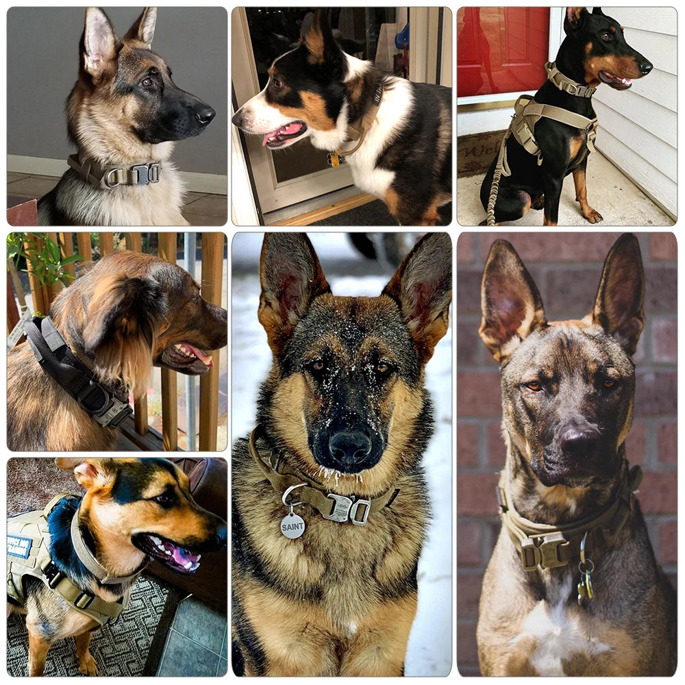 Dog Training Collar Adjustable – Effective and Comfortable Obedience Tool for Dogs