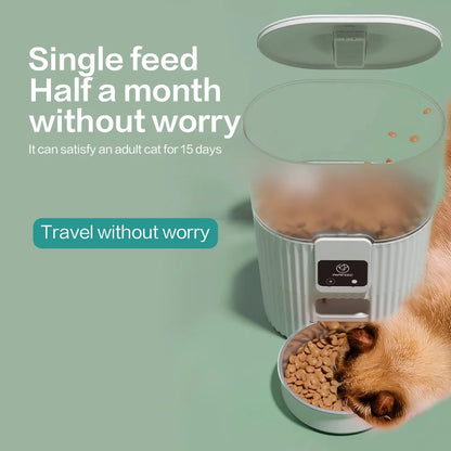 Best Automatic Pet Feeder – Smart Mealtime Solution for Cats & Dogs