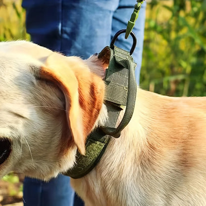 Dog Training Collar Adjustable – Effective and Comfortable Obedience Tool for Dogs