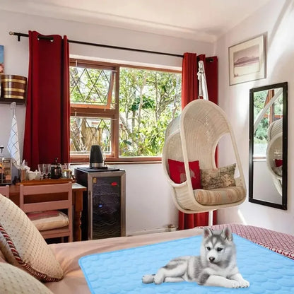 Pet Ice Silk Cooling Mat for Summer Comfort