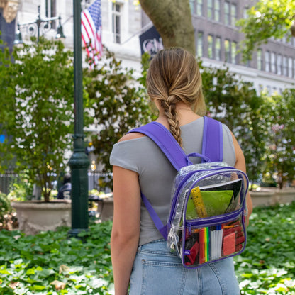 12-Inch Clear Mini Backpack