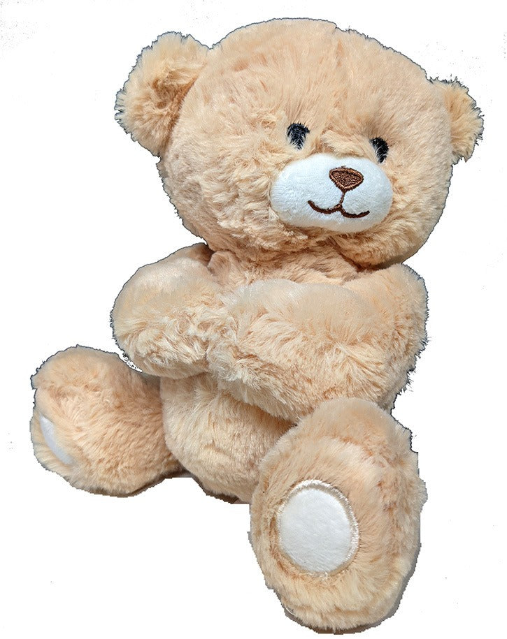 Teddy Bear for Birthday with Heartwarming Design in Bulk