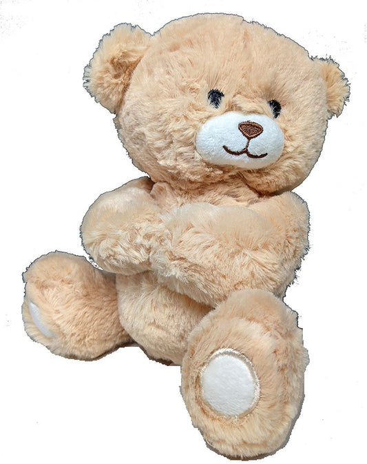 Teddy Bear for Birthday with Heartwarming Design in Bulk